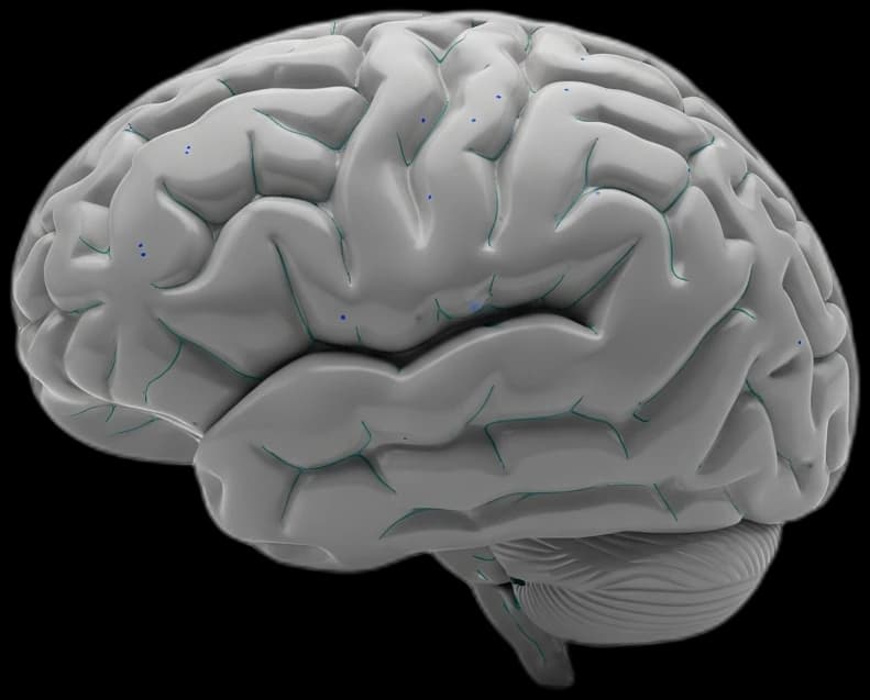 A muted brain — sugar acting like a drug