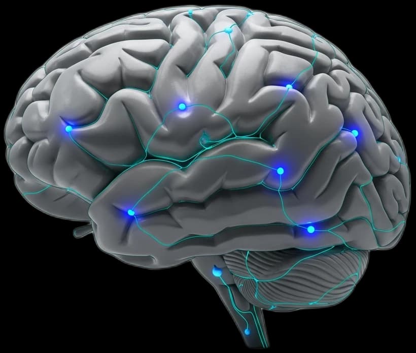 Brain spiking with dopamine, then crashing
